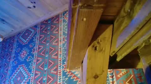 Dliciousman online show from December 2024 05:43:01 PM