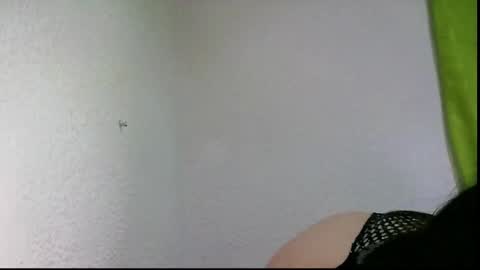 Snapshot of leidyramca chatting on September 2025 07:04:02 PM leidyramca online show from September 2025 07:04:02 PM