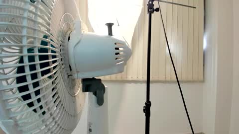 Snapshot of lenna16_ chatting on February 2026 01:10:01 PM Lenna16 online show from February 2026 01:10:01 PM