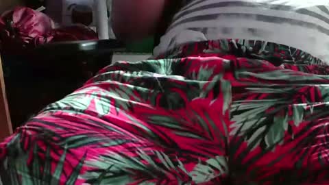 Latino Heat online show from December 2024 01:25:01 AM