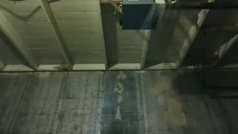 leo199984 online show from March 2026 02:39:01 AM