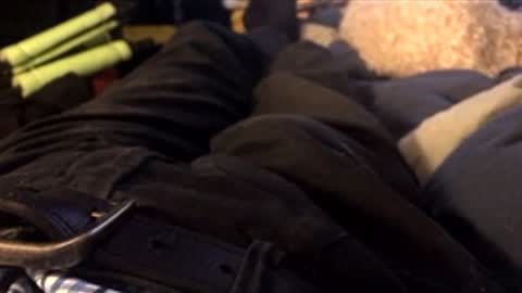 Snapshot of leongent chatting on April 2026 10:47:01 PM Leon online show from April 2026 10:47:01 PM