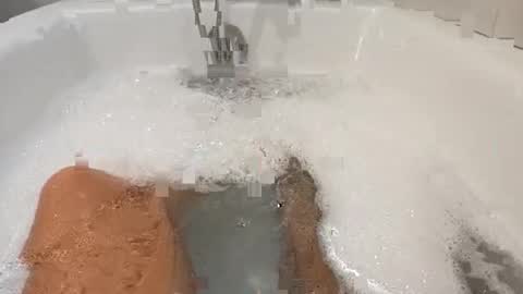 lespampinos online show from January 2025 12:41:02 PM