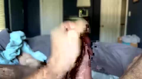 letmecumforyou71 online show from September 2025 12:50:02 PM