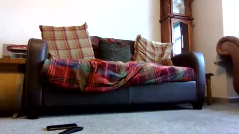 paul online show from February 2026 09:02:01 AM