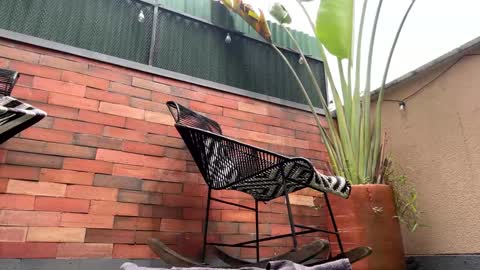 Snapshot of lettali chatting on March 2026 04:10:02 PM follow me here you find me online show from March 2026 04:10:02 PM