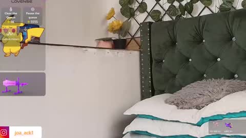 Snapshot of levi_ackermann1 chatting on January 2025 02:51:02 PM Levi online show from January 2025 02:51:02 PM