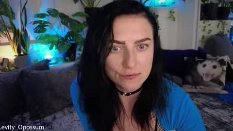 Levity online show from November 2025 11:05:01 PM