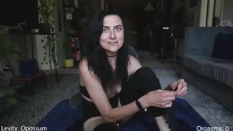 Levity online show from March 2026 08:04:01 PM