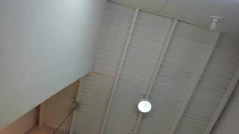 LevySteven online show from November 2025 12:43:02 AM