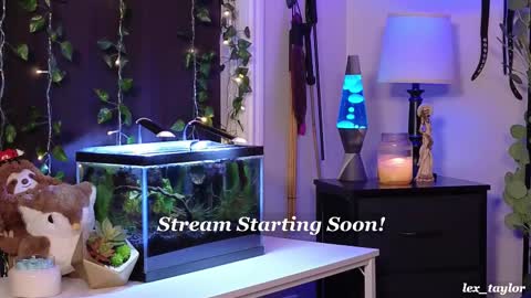 Snapshot of lex_taylor chatting on February 2025 04:59:01 PM Lex online show from February 2025 04:59:01 PM