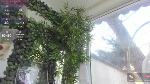 lexi_storm online show from February 2026 08:09:01 AM