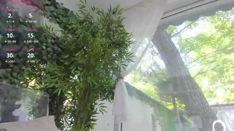 lexi_storm online show from May 2026 07:05:01 AM