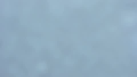 Snapshot of lia_izumy chatting on February 2025 03:52:02 AM . online show from February 2025 03:52:02 AM