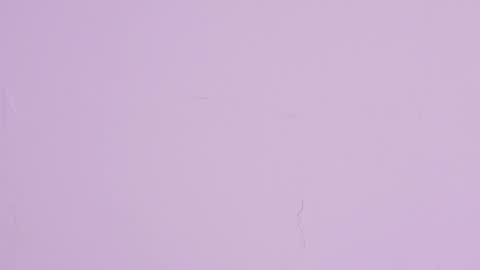 LIA  online show from May 2026 03:42:01 PM