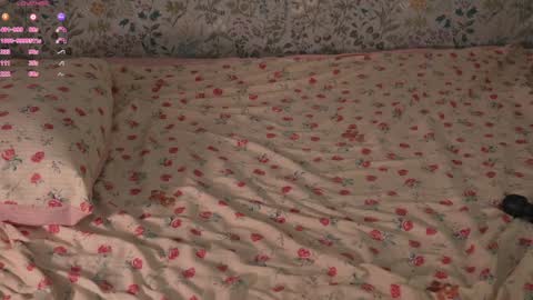 Snapshot of libbyshepard chatting on October 2025 12:50:01 PM Elena online show from October 2025 12:50:01 PM