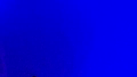 LickYourYoni online show from January 2025 03:32:02 PM