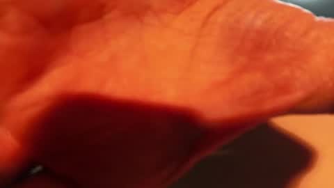 Lightworker online show from January 2025 02:19:02 AM