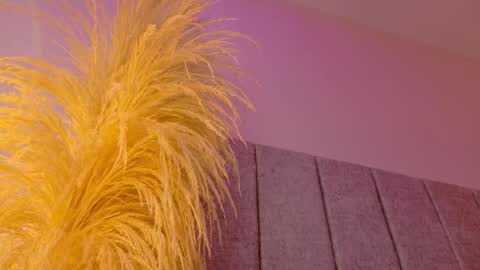 Liiam Luna online show from January 2026 09:13:02 AM