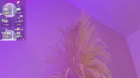 Liiam Luna online show from March 2026 09:01:02 AM