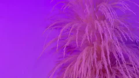 Liiam Luna online show from May 2026 11:04:02 AM