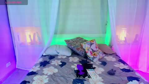         online show from February 2025 11:41:01 AM