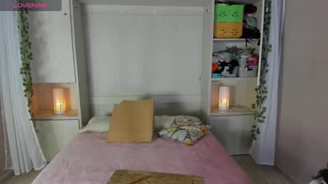         online show from December 2025 11:48:01 AM