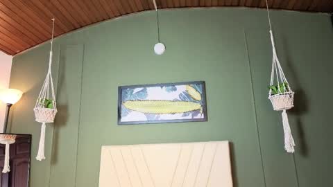 Lila online show from December 2025 08:43:01 AM