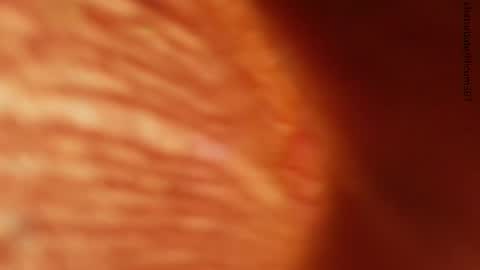 your love online show from November 2025 01:27:02 AM