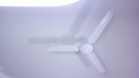 Snapshot of lilith_and_marcusblain chatting on January 2025 10:24:01 PM Lili Marcus online show from January 2025 10:24:01 PM