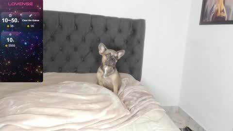 Snapshot of lilith_parker chatting on February 2025 04:14:02 AM Lilith Parker online show from February 2025 04:14:02 AM