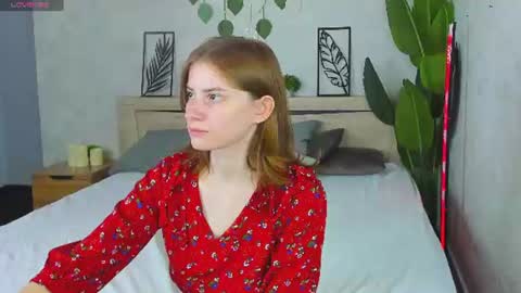 Lilli online show from July 2026 09:15:01 AM