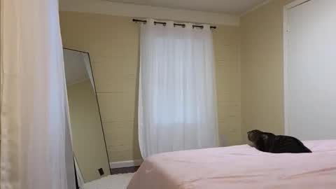lilly_adams88 online show from May 2026 10:28:01 PM