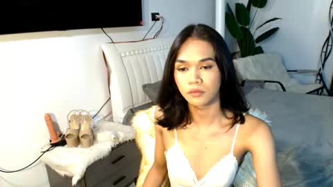 lillyholland online show from February 2025 03:52:01 PM