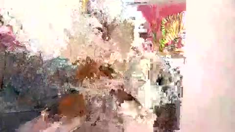 Snapshot of lilsexyx chatting on November 2025 04:34:02 AM lilsexyx online show from November 2025 04:34:02 AM