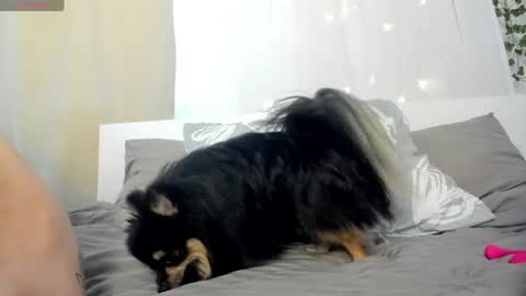 LILY online show from July 2026 02:02:02 PM