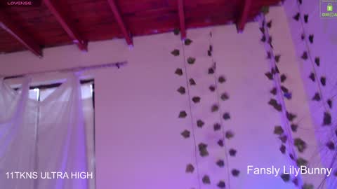 Snapshot of lily_bunny_1 chatting on December 2024 10:19:01 PM Fansly LilyBunny- help me reach 50 thumbs up online show from December 2024 10:19:01 PM