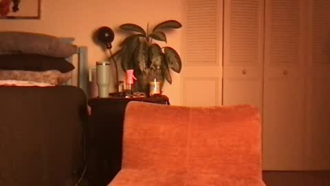 Snapshot of lily_henry chatting on June 2026 04:39:02 AM Little Lily online show from June 2026 04:39:02 AM