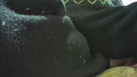 lily lovelyman online show from February 2025 07:11:01 AM