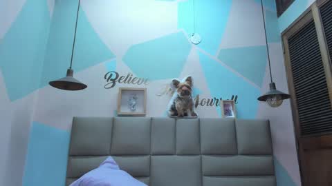 Lily online show from February 2025 08:03:01 AM