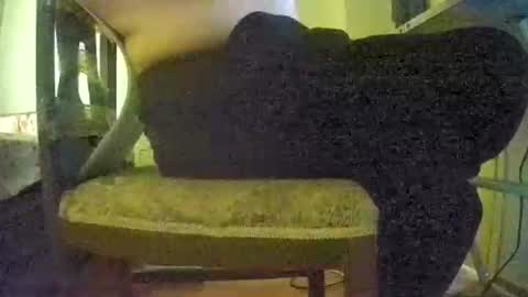 Snapshot of lilylovelyman50 chatting on June 2026 12:02:01 PM lilylovelyman50 online show from June 2026 12:02:01 PM