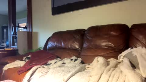 Richie Rich online show from December 2024 07:23:01 PM