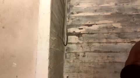 Richie Rich online show from December 2024 10:34:02 AM