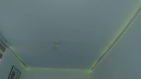   online show from February 2025 06:40:02 PM