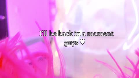 Snapshot of lindaa_miller chatting on January 2025 07:51:02 AM linda miller online show from January 2025 07:51:02 AM