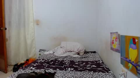 lion_grr online show from December 2025 02:16:01 AM