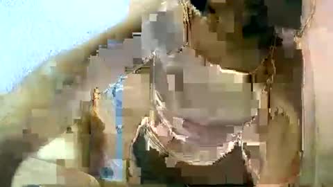 liora online show from March 2025 06:53:02 AM