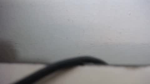 lisa_branch online show from September 2025 10:27:01 AM