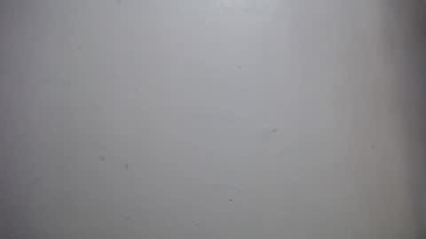 lisa_branch online show from December 2025 11:59:01 AM