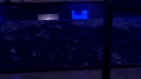 Snapshot of lisa_elfy chatting on January 2025 03:45:01 PM lisa_elfy online show from January 2025 03:45:01 PM